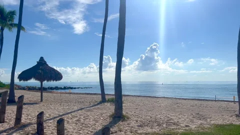 Virginia key in Key Biscayne, Florida Stock Footage 204942708