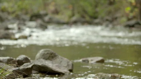 Virginia Mountain Stream Slo-Mo with Camera Move Stock Footage 49313313
