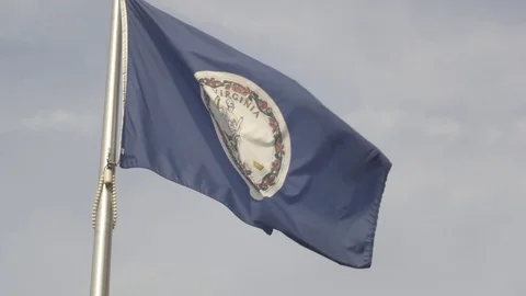 Virginia State Flag on Flag Pole Vídeo Stock 75252028