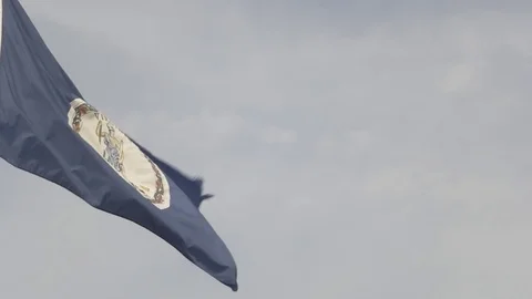 Virginia State Flag Stock Footage 75252054