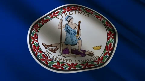 Virginia State Flag Stock Footage 276105730