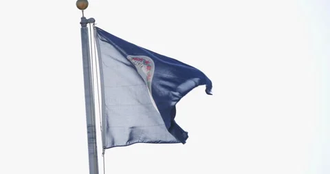 Virginia State Flag Stock Footage 284493350