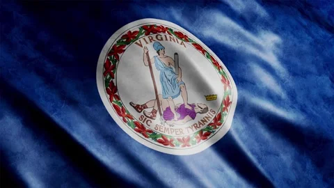 Virginia State Flag Grunge Stock Footage 249040180