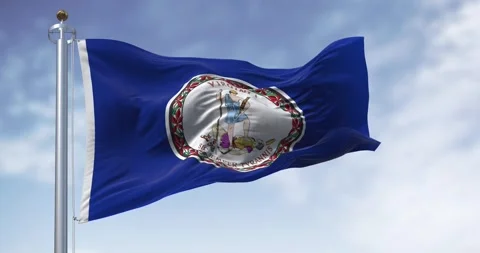 Virginia state flag waving in the wind on a clear day Stock Footage 265437130
