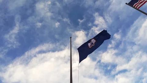 Virginia State Flag in Wind at Richmond War Memorial Stock Footage 106684138