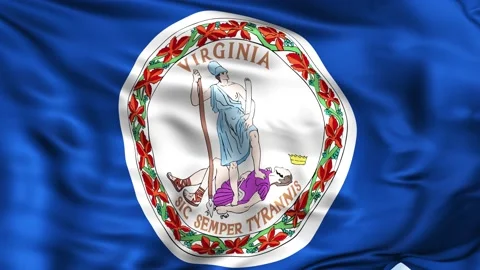 Virginia State Waving Flag Background Video stock 204139619