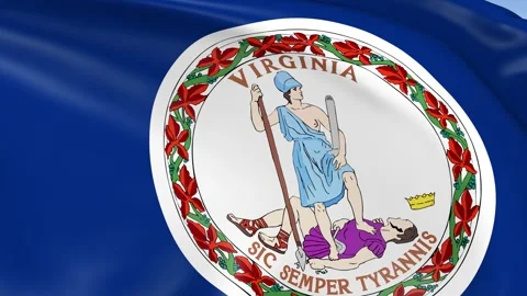Virginia State Waving Flag Background Loop Stock Footage 317847320