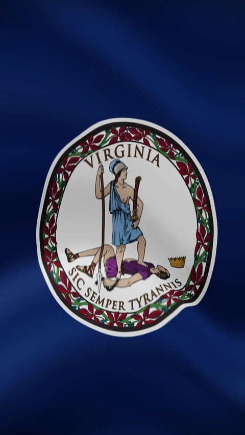 Virginia State Waving Flag in Vertical Orientation – Realistic Loop Animation Stock Footage 294949246