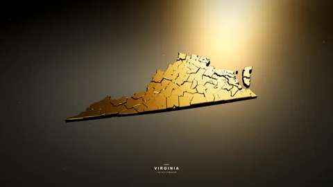 Virginia USA 3D state map in gold style Stock-Footage 341172206