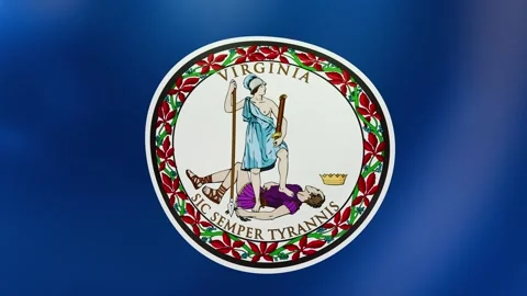 Virginia Waving flag Stock Footage 303032454