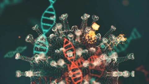 Virtual animated representation of coronavirus 2019-nCoV cells inside infected Stock Illustration