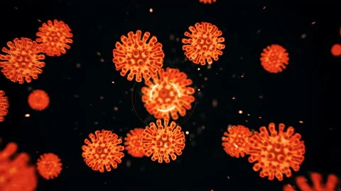 Virtual animated representation of coronavirus covid19 cells inside infected Stock Footage 147729096