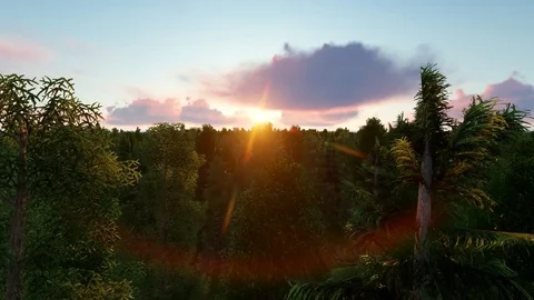 Virtual Fly - Through of a Forest at Sunrise/Sunset Stock Footage