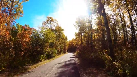 Virtual Hike through Autumn Forest Video stock 208558965
