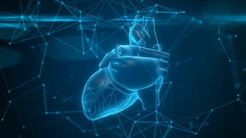 Virtual image of human heart. Modern methods of diagnostics of the heart Stock-Footage 96124338