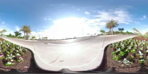 Virtual Reality Exterior Time-lapse Garden/Temple Stock Footage 107435660
