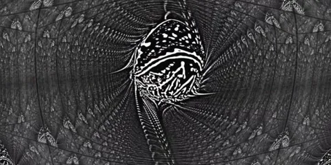 Virtual Reality Footage Of Flying Through White Black Geometry In Space , 360 Vr Stock Footage 300490309