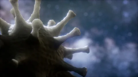 Virtual representation Macro model of Novel Coronavirus 2019-nCoV Stock Footage 124463107