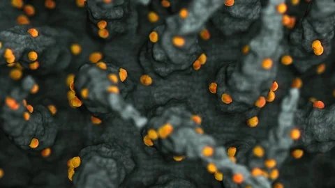 Virtual representation Macro model of Novel Coronavirus SARS-CoV-2, previously Stock Footage 126901850