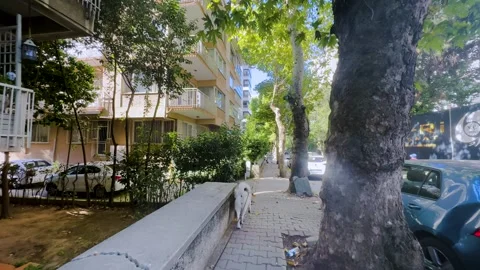 Virtual walking between buildings with husky dog Stock Footage 247685242