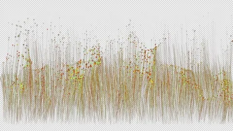 Virtual wheat fields earing VFX particle motion graphic with alpha channel Vídeos de archivo 335175135