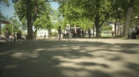 Viru Park Stock Footage 46129137