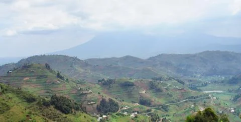 Virunga mountains in uganda Stock Photos