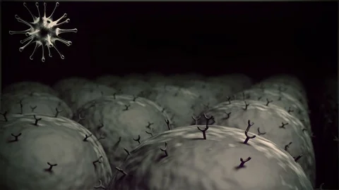 Virus and Antibody Stock Footage 125637906