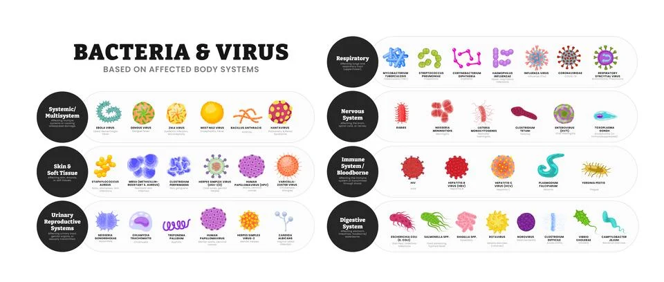 Virus and bacteria based on affected body system set collection poster for .. Stock Illustration