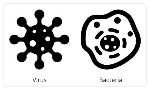 Virus and Bacteria Stock Illustration