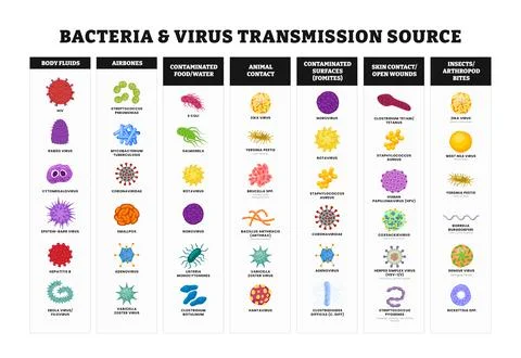 Virus and bacteria Transmission Source set collection poster for healthcare.. Stock Illustration