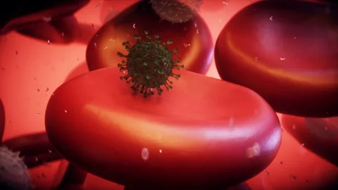 Virus and blood cell inside human body. Nanomedecine concept. realistic 4k Stock Footage 244619338