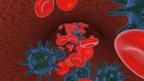 Virus and germs, bacteria, cell infected organism Stock Footage 126234701