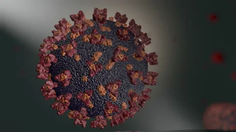 Virus and germs, bacteria, cell infected organism Stock Footage 154570882