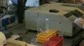 virus and hiv HD Footage