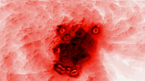 Virus and stem cells,bubble and herpes,blood. Video stock 6088138
