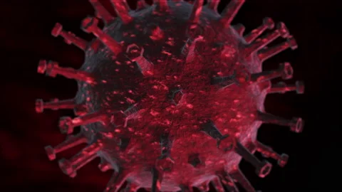 Virus Animation In 4K Stock Footage 131680650