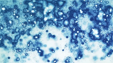 Virus animation Stock Footage 151962969