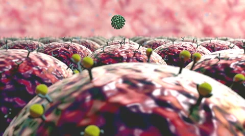 Virus attack the cells Stock Footage 47817775