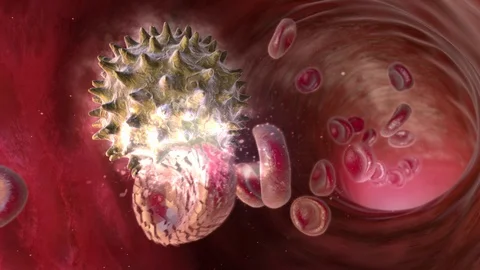 Virus Attacks Blood Cells Stock Footage 128334716
