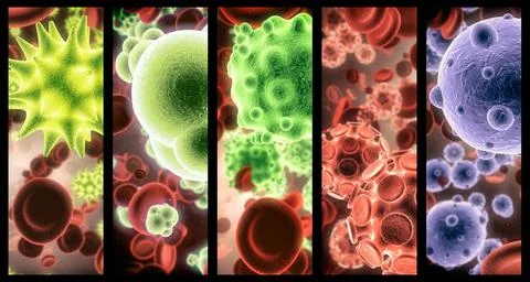 Virus, bacteria and cell structure of disease closeup in series for medical Stock Photos