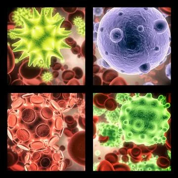 Virus, bacteria and molecule structure of disease closeup in series for medical Stock Photos