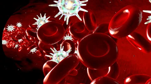 Virus, bacteria cells infecting human red blood cells. Stock Footage 59940735