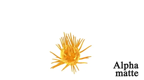 Virus, bacteria , infection. Isolate. Alpha matte include.  Stock Footage 57043068