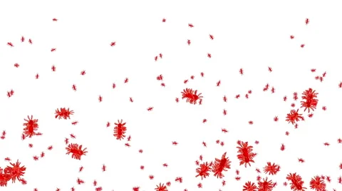 Virus, bacteria , infection. Isolate. Alpha matte include Stock-Footage 57103228