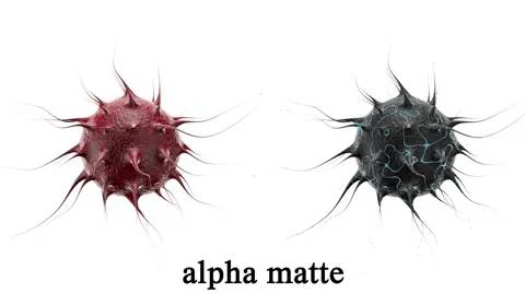 Virus, bacteria , infection. Isolate. Alpha matte include Видео 57104780