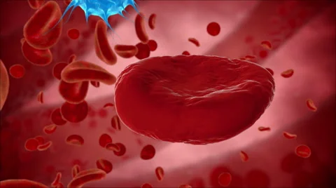 Virus, bacteria, microbe kills the blood cell, eritrocite. Medical concept. Stock Footage