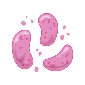 Virus bacteria microbiology microscope sick isolated icon design Stock Illustration