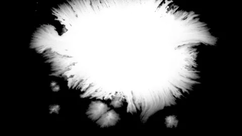 Virus, Bakteria Stock Footage 76651862