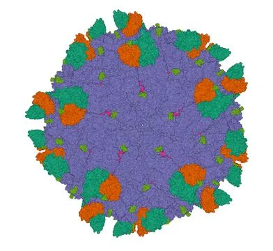 Virus Capsid Surface 库存插图